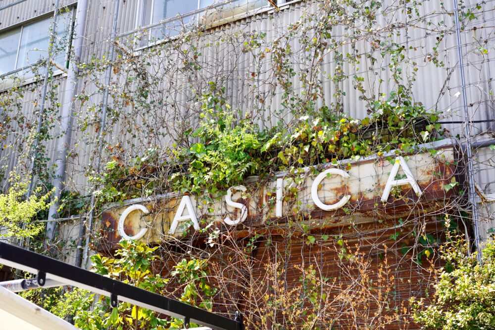 CASICA店舗外観